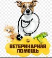 Ветеринарная помощь в Балакирево